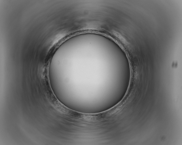 X0000091081258200708061330