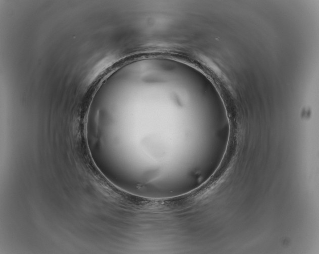 X0000091081259200708061330