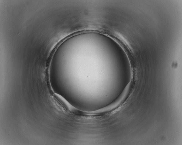 X0000091081260200708061330