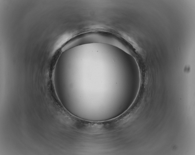 X0000091081261200708061330