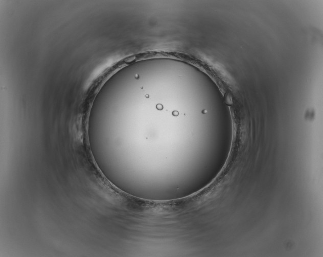 X0000091081262200708061329