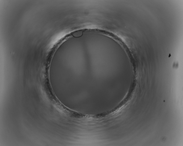 X0000091081263200708061329