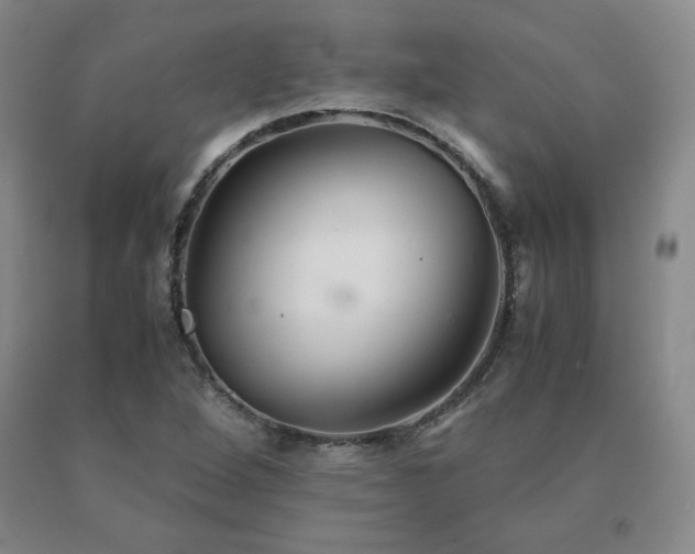 X0000091081264200708061329