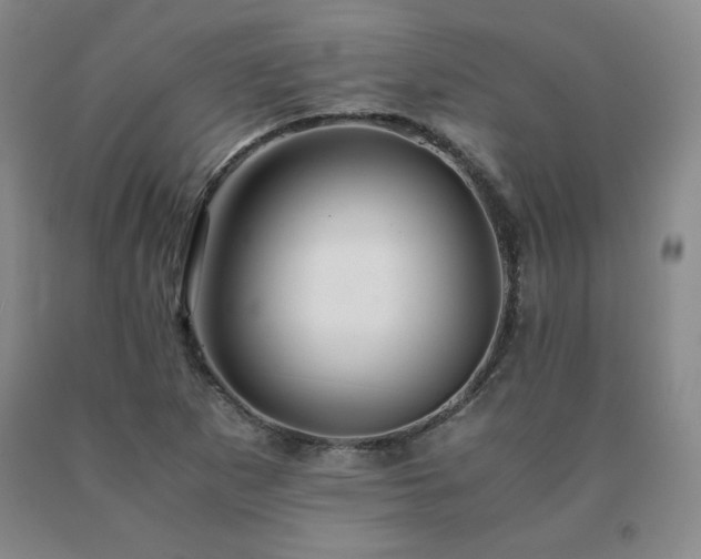 X0000091081265200708061329