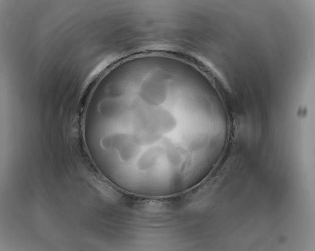 X0000091081266200708061329