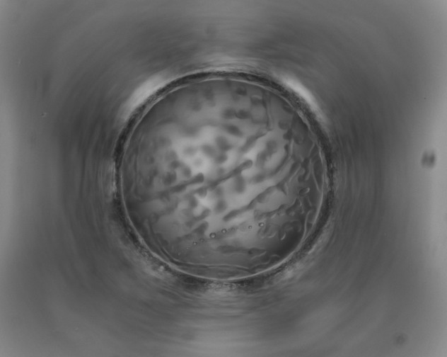 X0000091081267200708061329