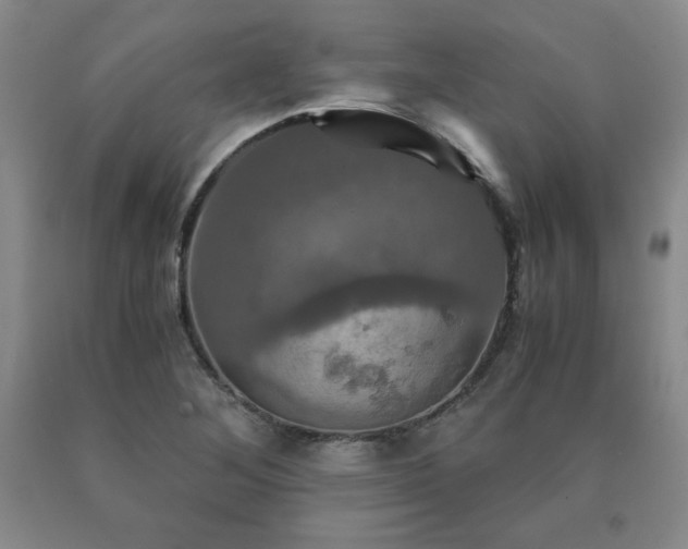 X0000091081268200708061329