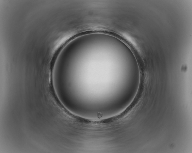 X0000091081269200708061329