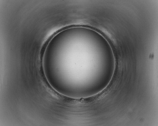 X0000091081270200708061329