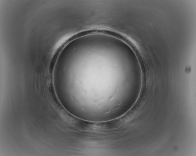 X0000091081271200708061329