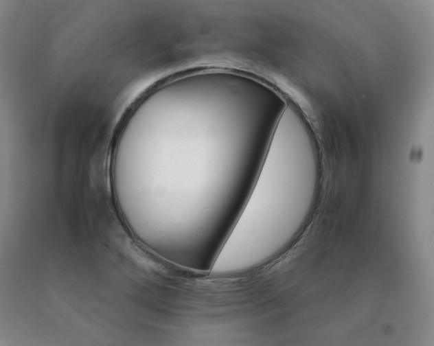 X0000091081272200708061329