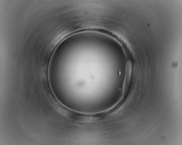 X0000091081273200708061329