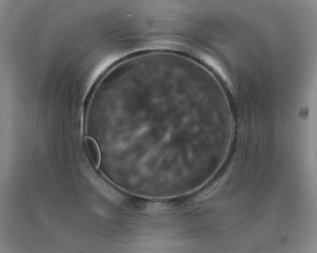 X0000091081275200708061329