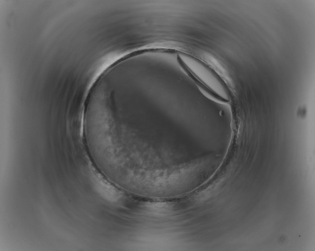X0000091081276200708061329
