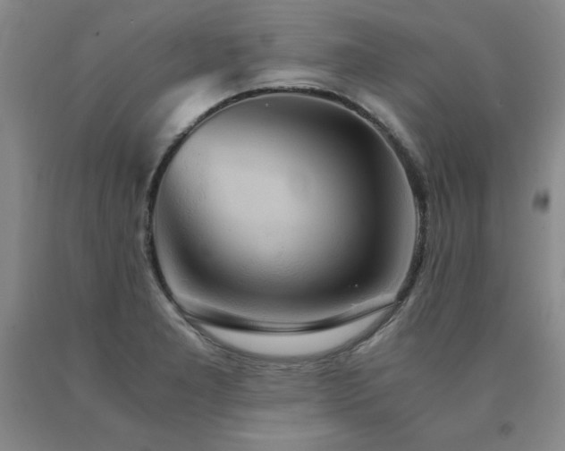 X0000091081277200708061329