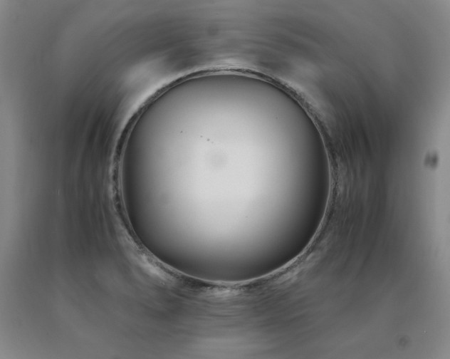 X0000091081278200708061329