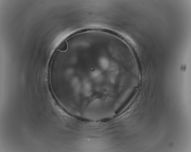 X0000091081279200708061329
