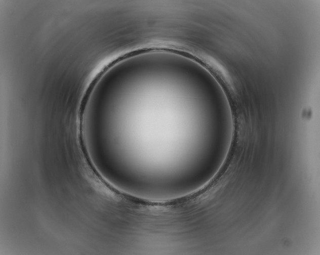 X0000091081280200708061329