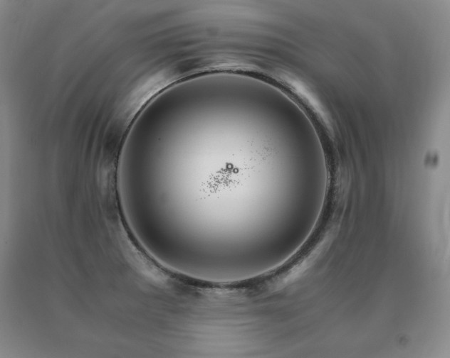 X0000091081281200708061329