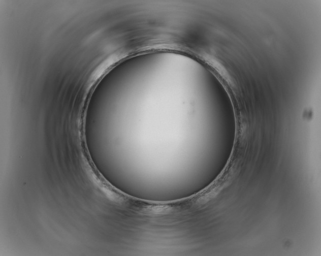 X0000091081282200708061329