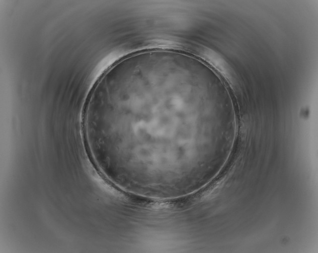 X0000091081283200708061329