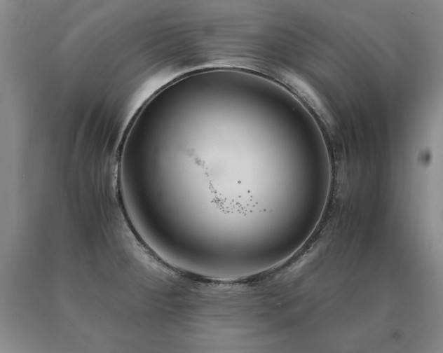 X0000091081284200708061329