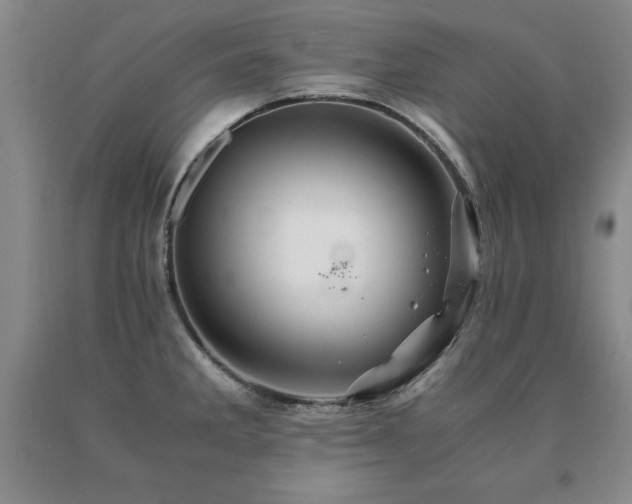 X0000091081285200708061329