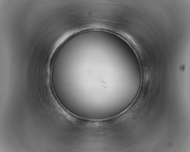 X0000091081286200708061329