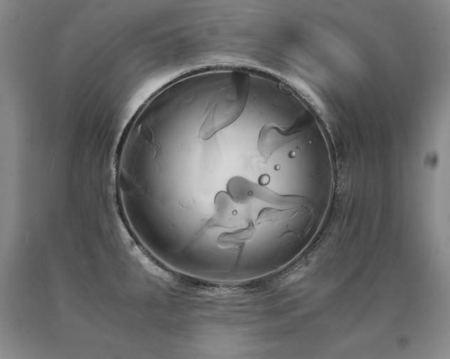 X0000091081287200708061329