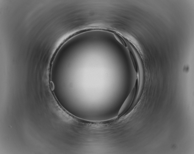 X0000091081288200708061329