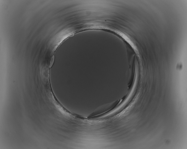 X0000091081289200708061329