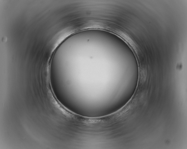X0000091081290200708061329