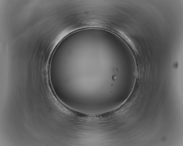 X0000091081291200708061329
