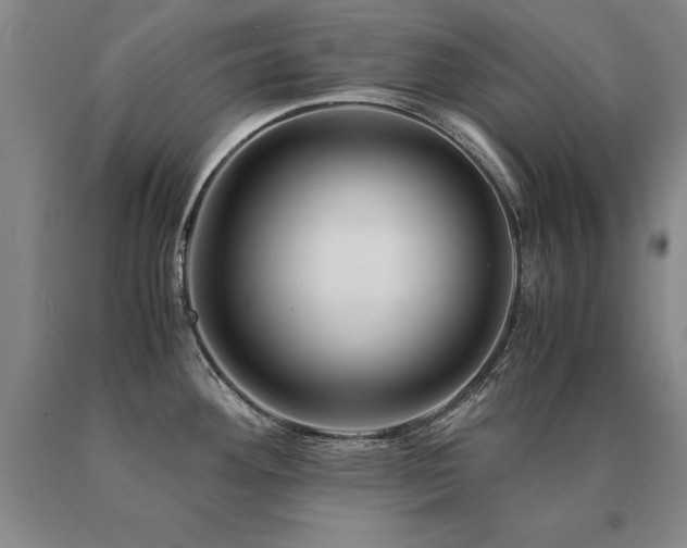 X0000091081292200708061329