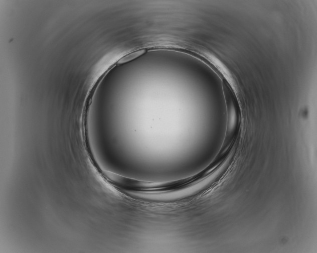 X0000091081293200708061329