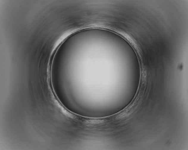 X0000091081294200708061329