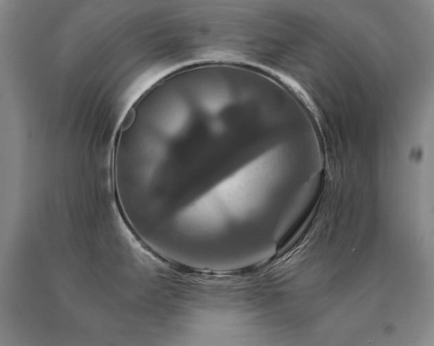 X0000091081295200708061329