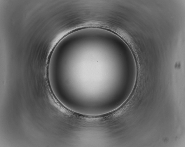 X0000091081296200708061329