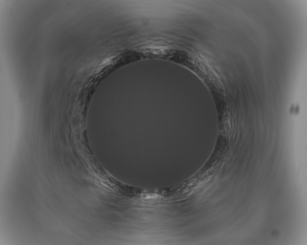 X0000091081297200708061328