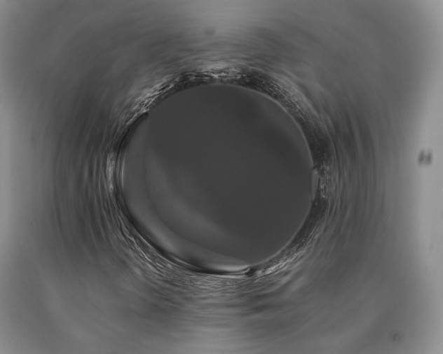 X0000091081298200708061328