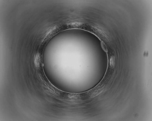 X0000091081299200708061328