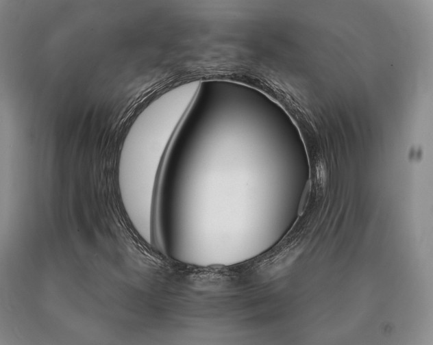 X0000091081300200708061328