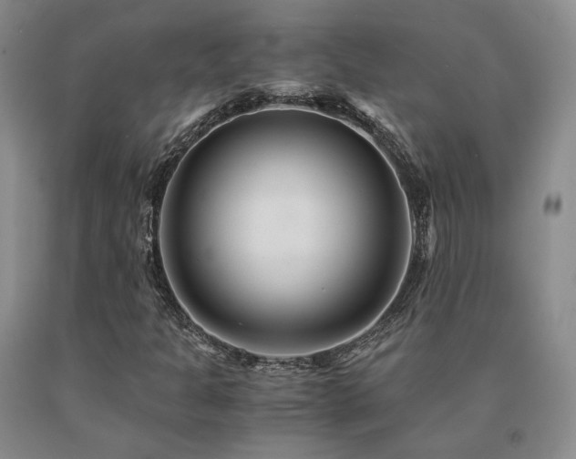 X0000091081301200708061328