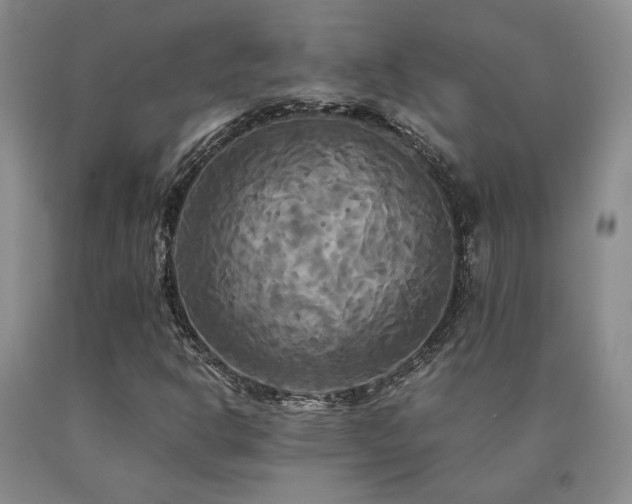 X0000091081302200708061328