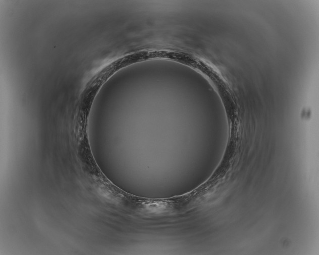 X0000091081303200708061328