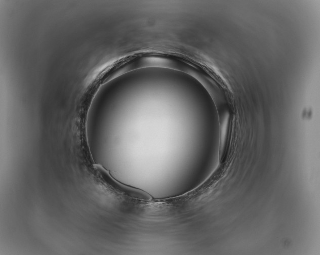 X0000091081304200708061328
