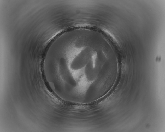 X0000091081305200708061328