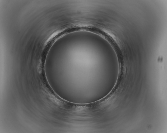X0000091081306200708061328