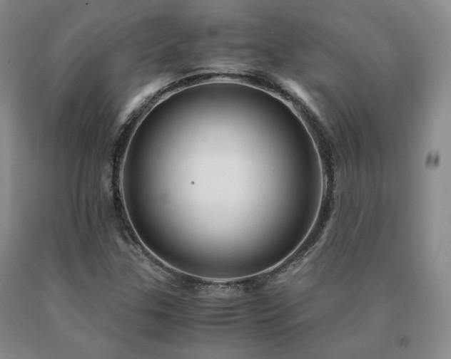 X0000091081307200708061328