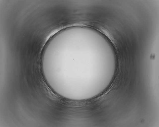 X0000091081308200708061328